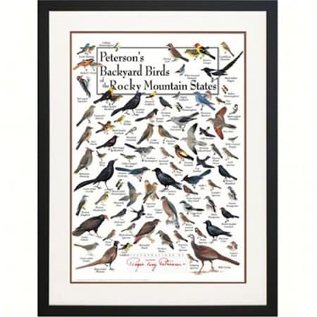 Steven M. Lewers Earth Sky Water Petersons Backyard Birds of the Rocky Mountains Poster LEWERSBBRPT133